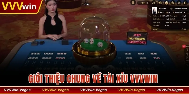 Giới thiệu chung về tài xỉu VVVwin