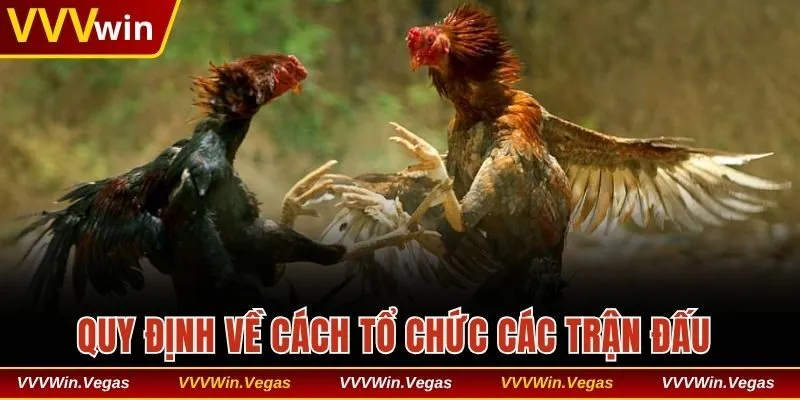 Quy định về cách tổ chức các trận đấu