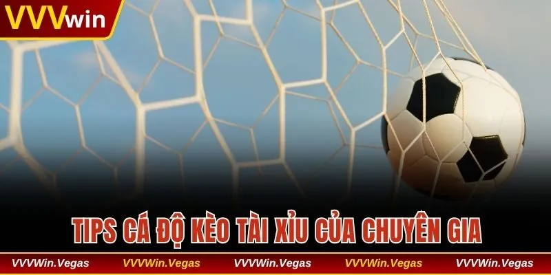 Tips cá độ hiệu quả dành cho người chơi